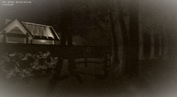 Spela Among The Trees