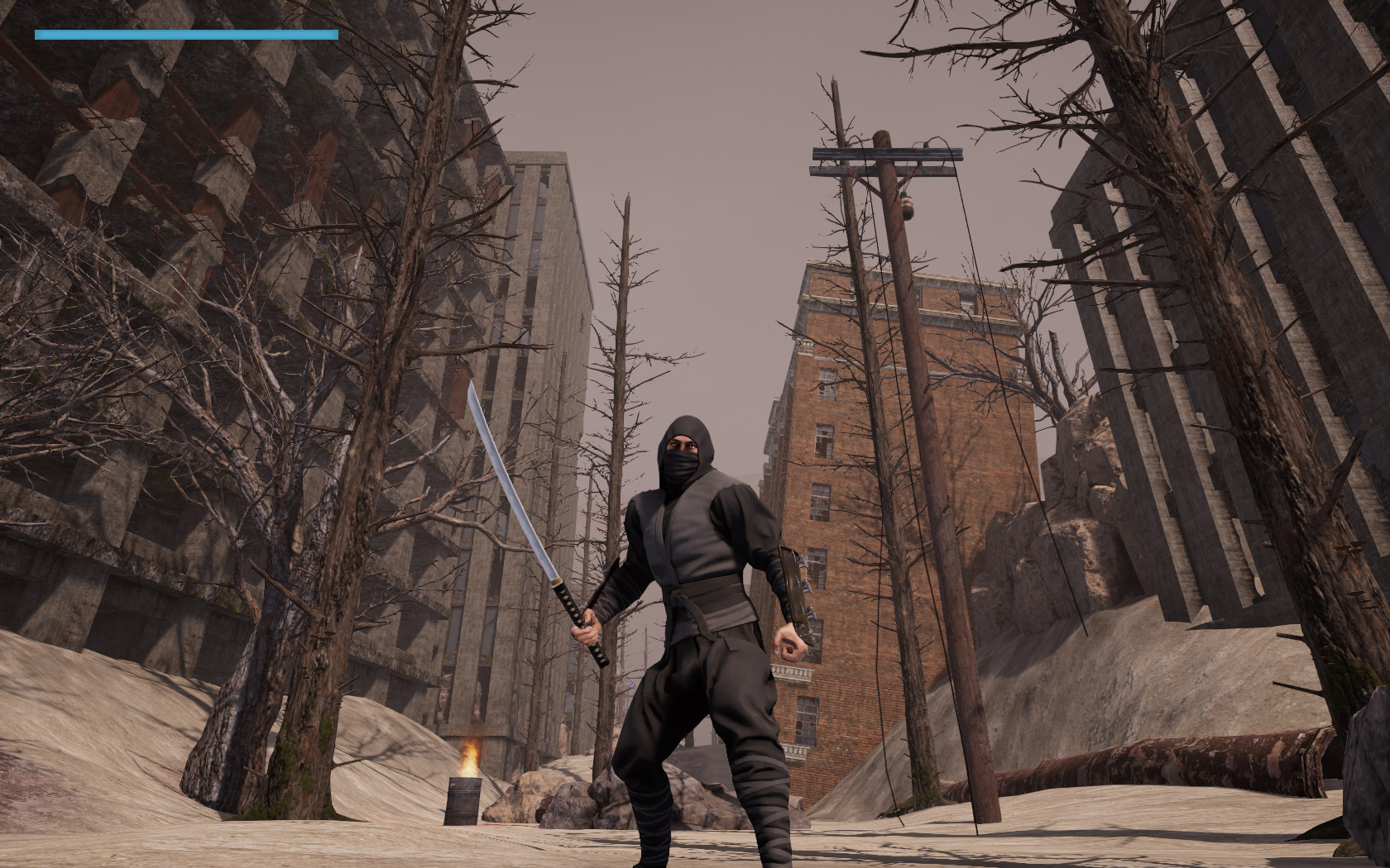 Joue à Ashen Ninja: Rust and Katana 