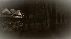 Among The Trees - Skärmdumpar