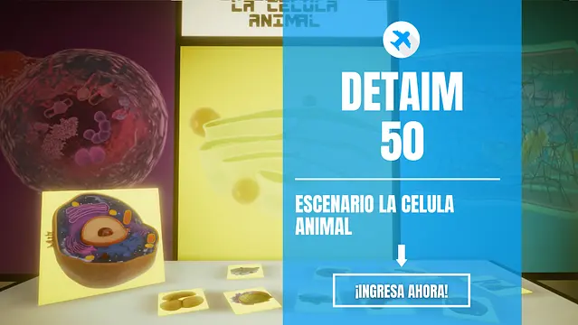 DETAIM 50 - Στιγμιότυπα