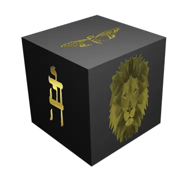 Holy Order - Skärmdumpar