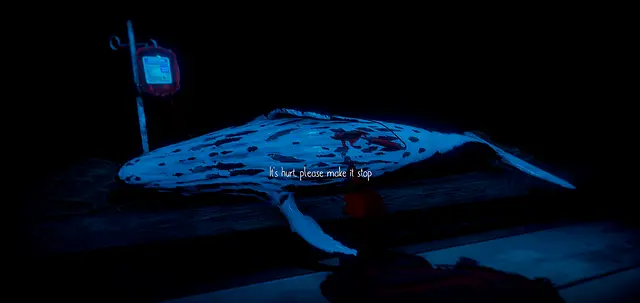 Schrodinger's cat sim - Immagini