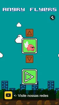 Angry Flyers - Bilder