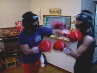 2D BOXING SIMULATOR - Imágenes