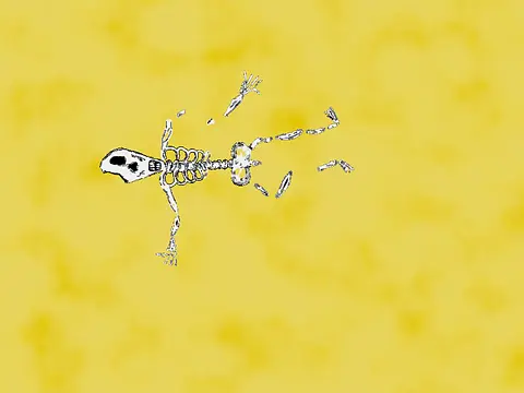 Adventure Time - تصاویر