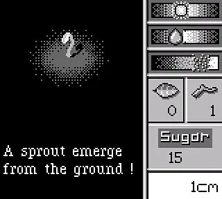 Genaro - تصاویر