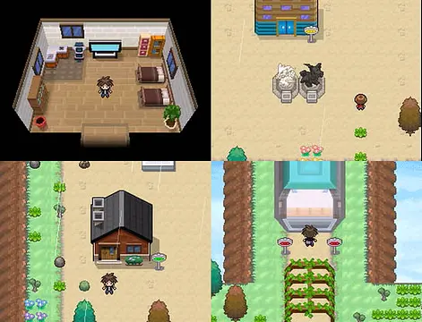 Pokemon RT B/W 2011 - Mga piktur