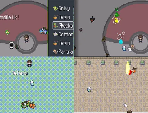 Pokemon RT B/W 2011 - Скріншоти