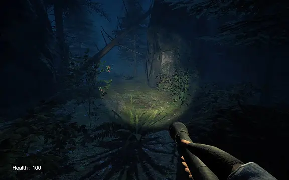 Silent Fogs: Echoes of Evil - Screenshots