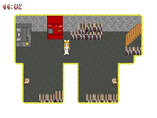 Surprise! - Afbeeldingen