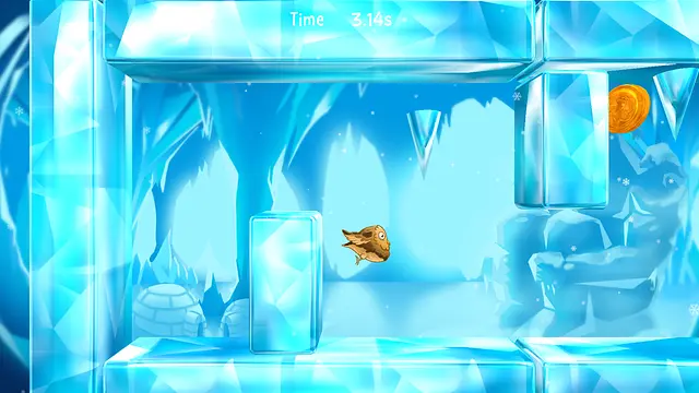 Drant - Afbeeldingen