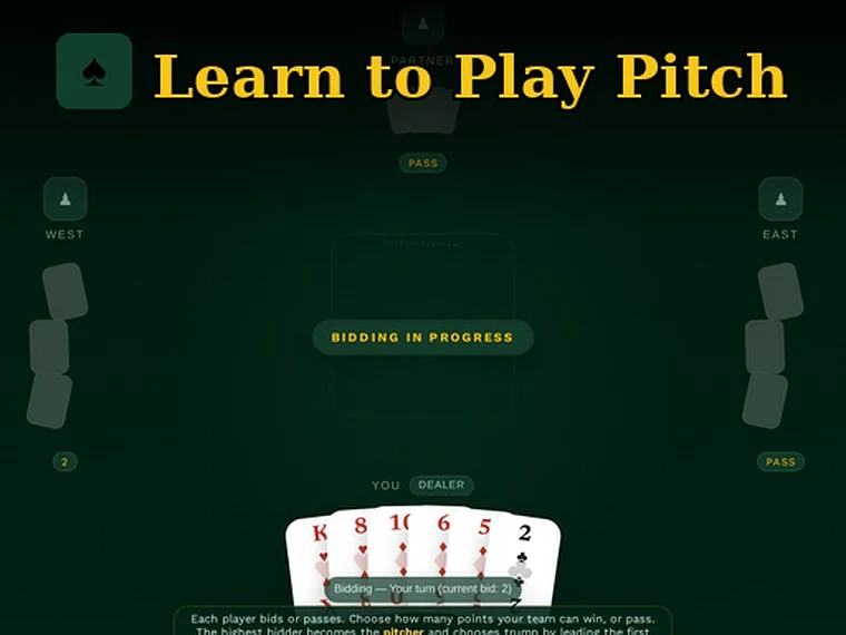 Spela Learn to Play Pitch