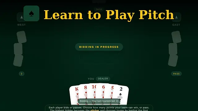 Learn to Play Pitch - Immagini