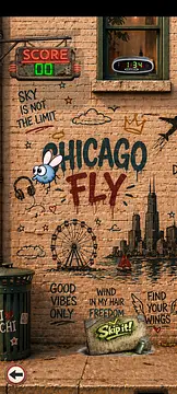 Chicago Fly - Mga piktur