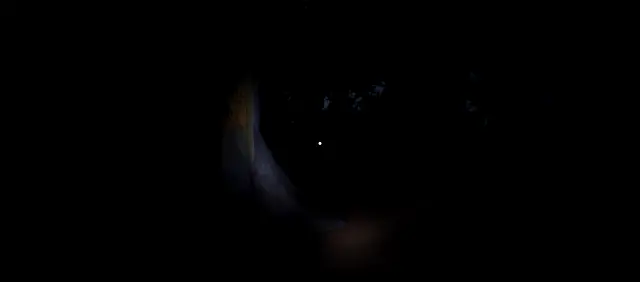 The Silence: The Forest - Mga piktur