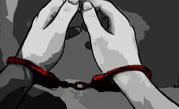 Red Room - الشاشات