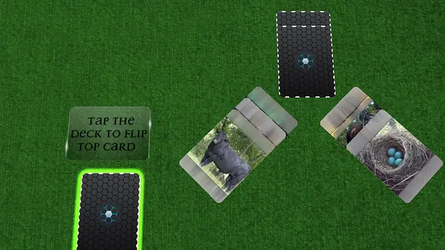 Wishful Daisy - Imej