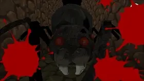 ARANEUM - الشاشات