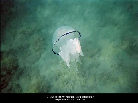 La rivelazione - Imej