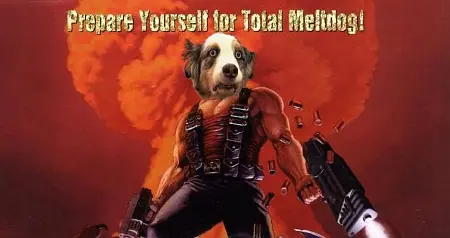 Dog Adventure - 이미지