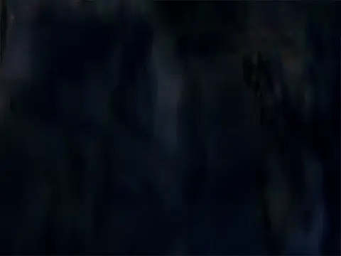 Play to Blind Bird Box