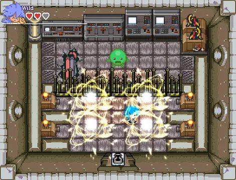 Wild Rage New Generation - Imagens