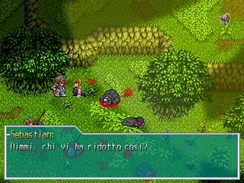 Mystic Wool - Imágenes