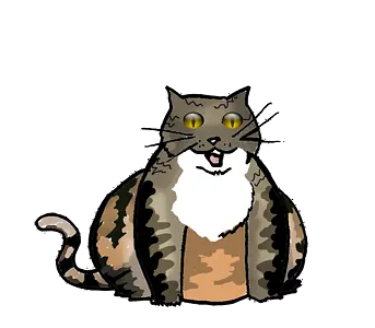 A Cat's Night - 이미지