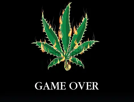 Weedventures - Images