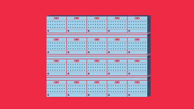 Kameleon - Afbeeldingen