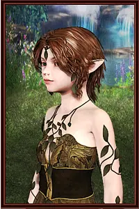 Heroes of Shaola - Gambar